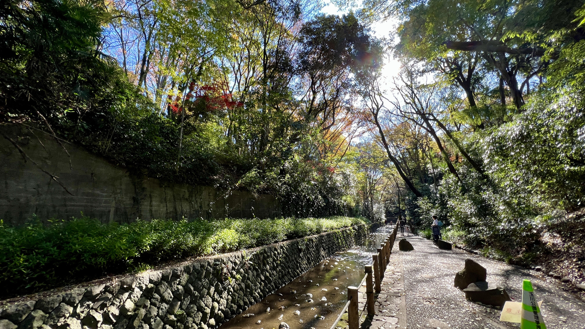 Todoroki Valley