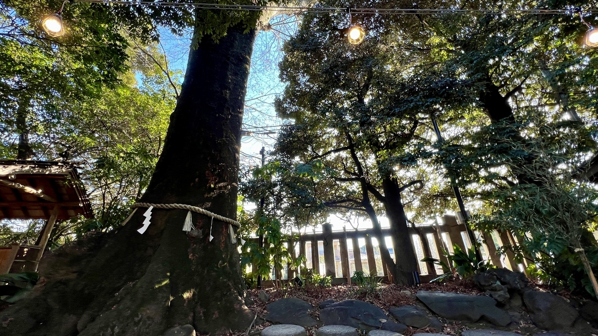 Sacred Tree