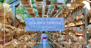 Kawagoe Hikawa Shrine: Where 1,500 Years of Love and History Bloom in Vibrant Colors