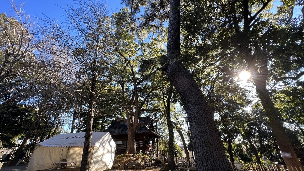 Shrine Grounds