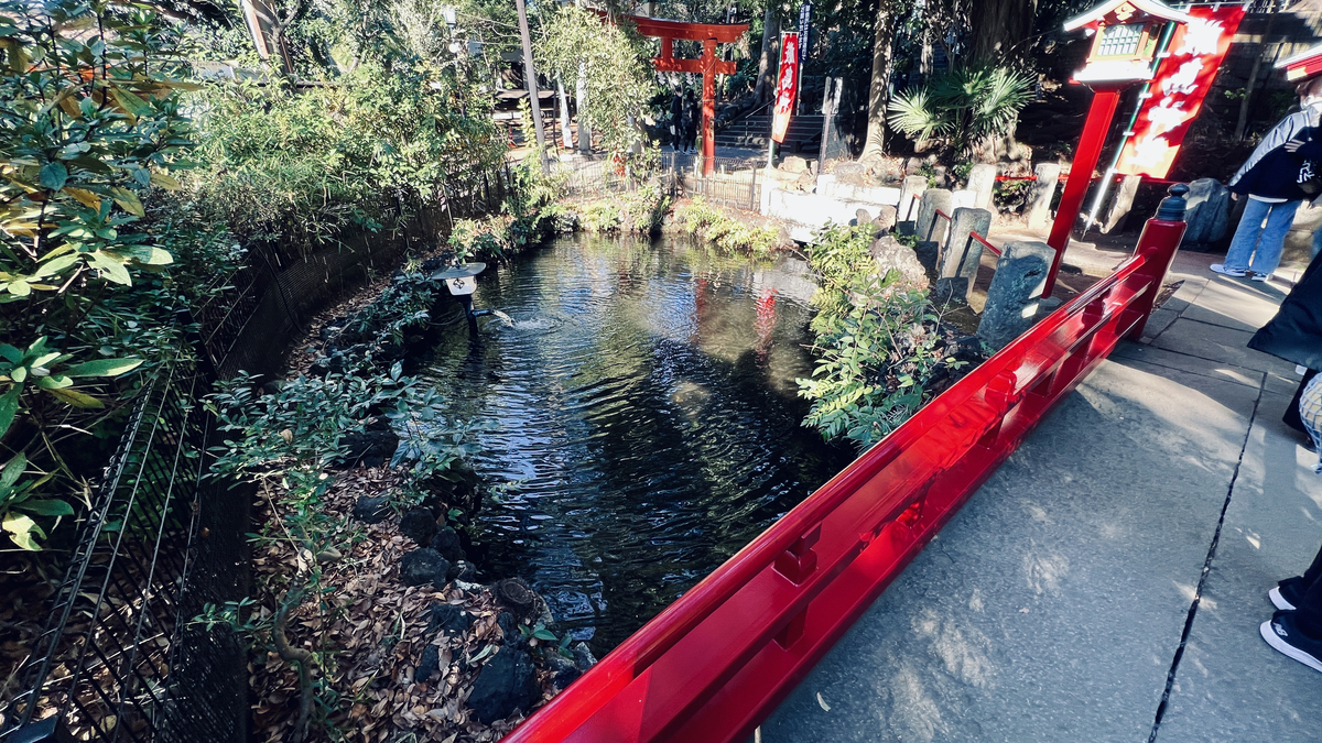 Path and Pond