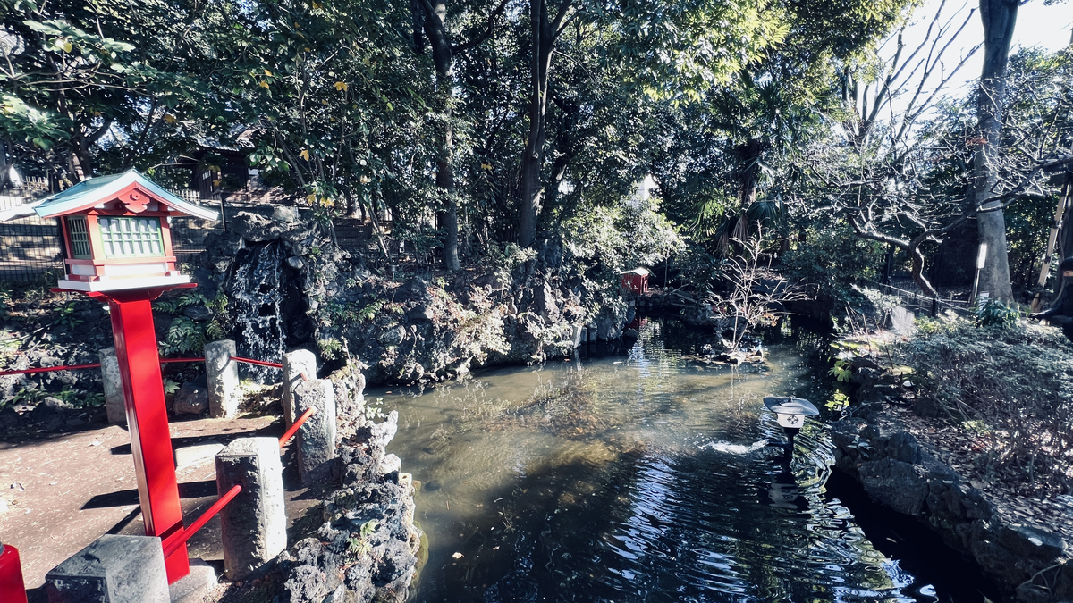 Path and Pond