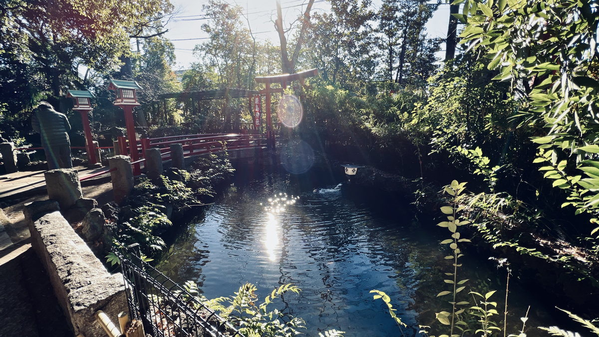 Path and Pond