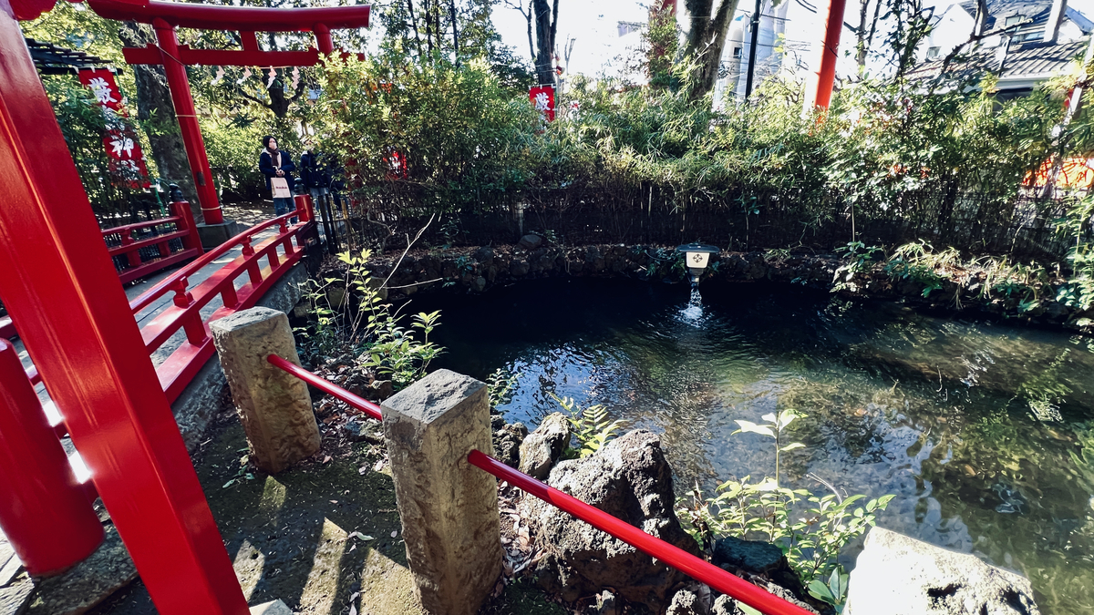 Path and Pond