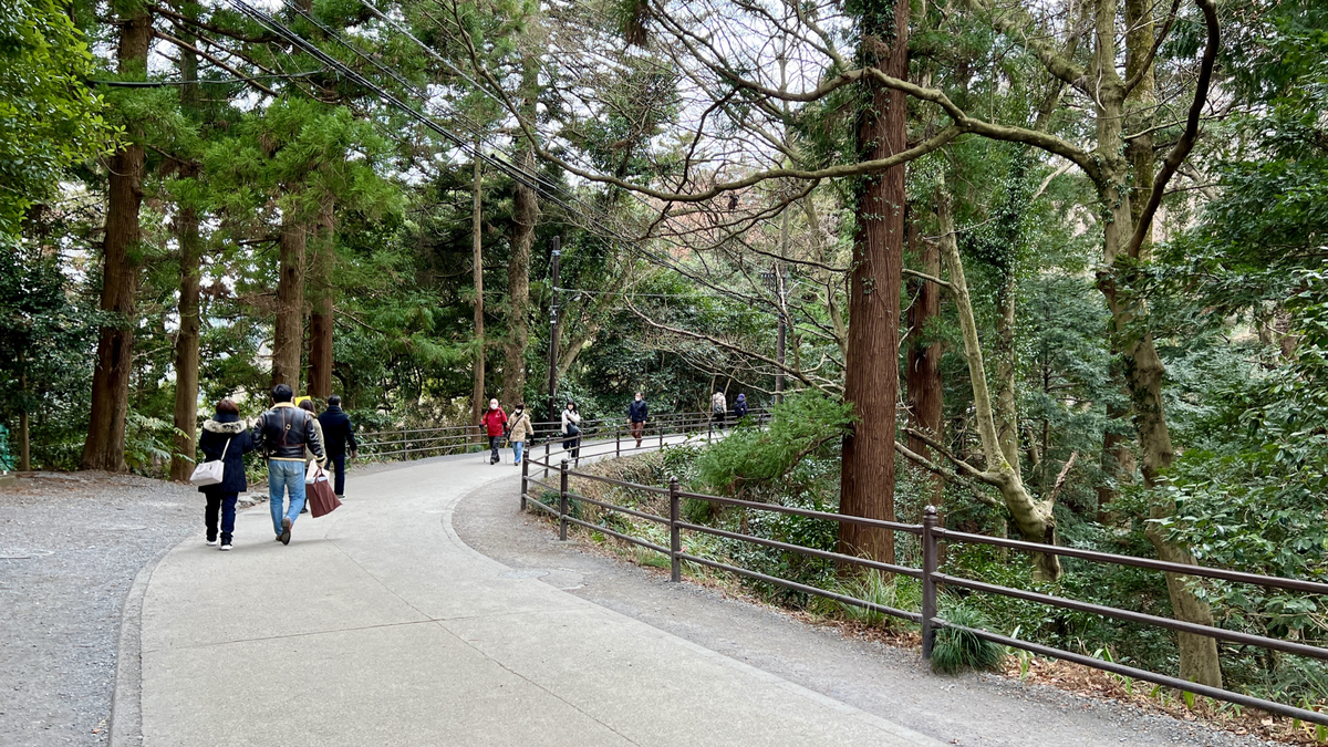 Walking Path