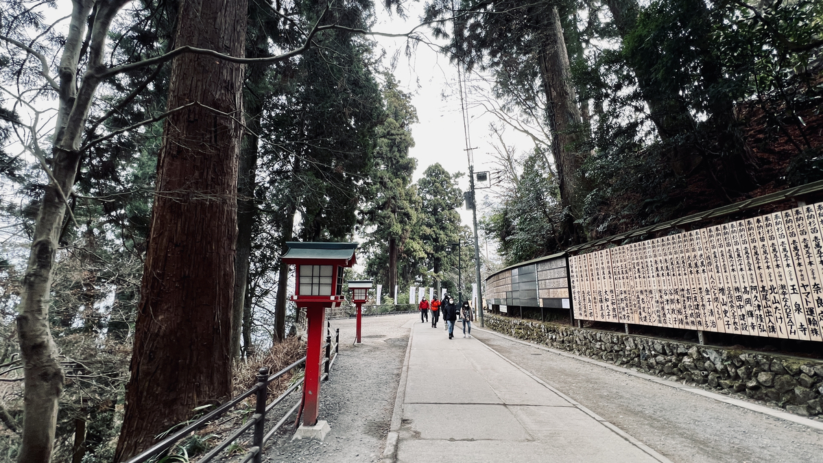 Cedar Avenue