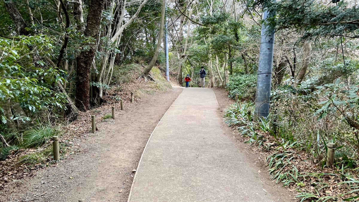 Walking Path