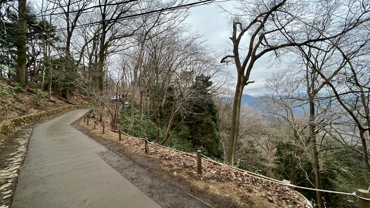 View from Mount Takao
