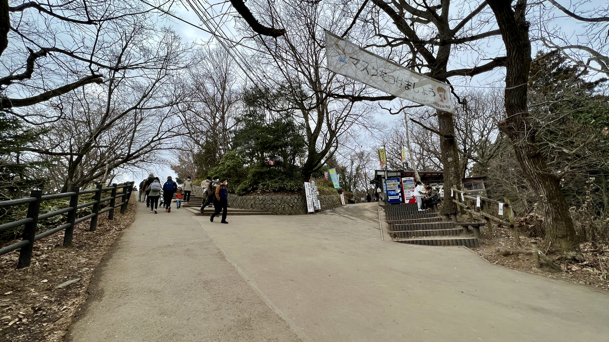 Slope Leading to the Summit