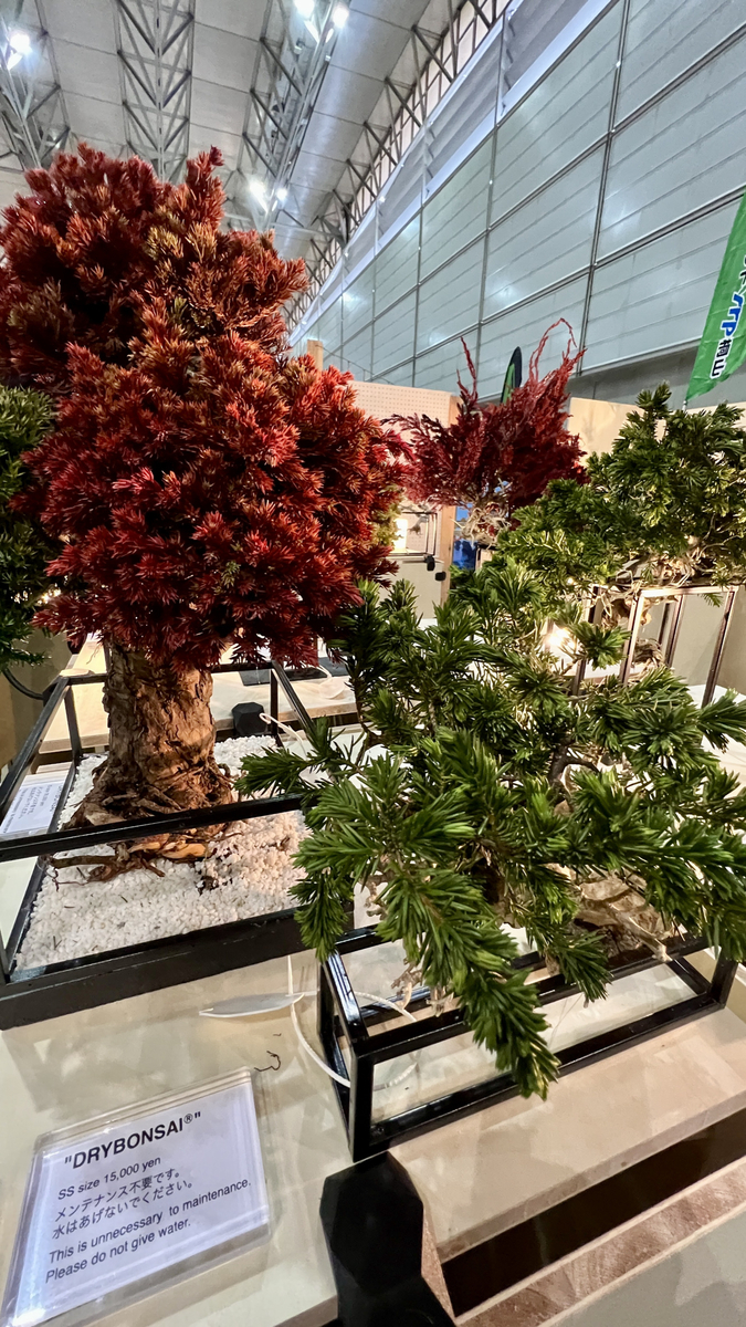 乾燥盆栽展台