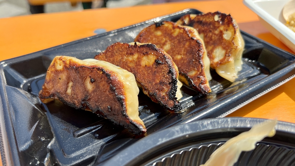 Yatsugatake Gyoza