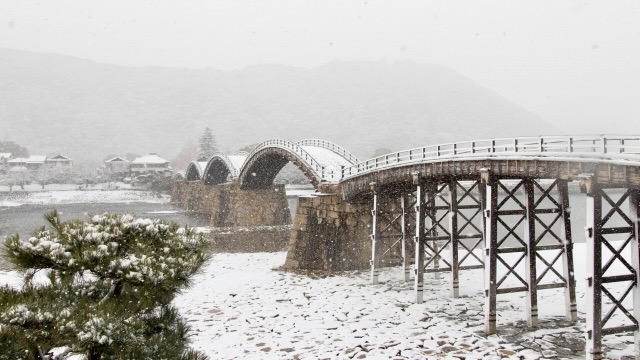 Winter Scenery