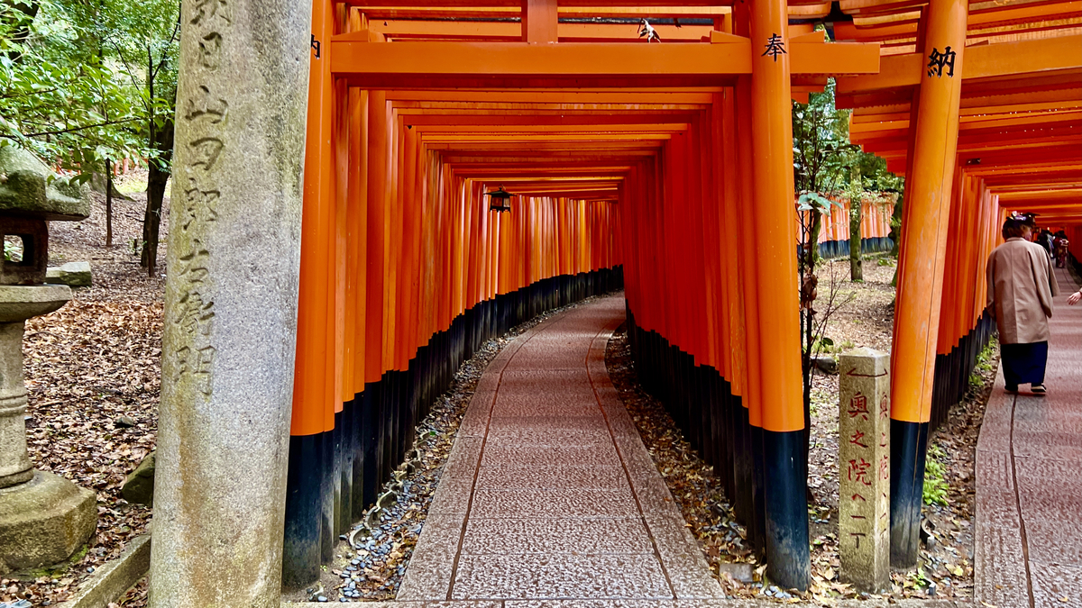 Mil Puertas Torii
