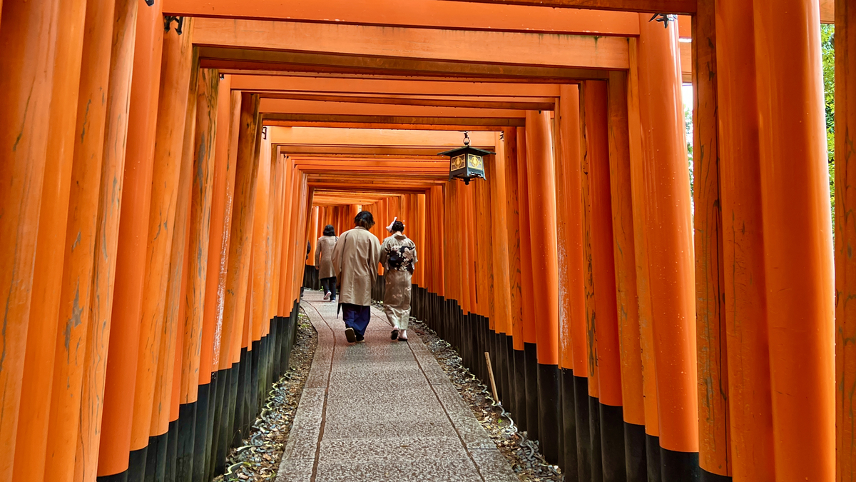 Mil Puertas Torii
