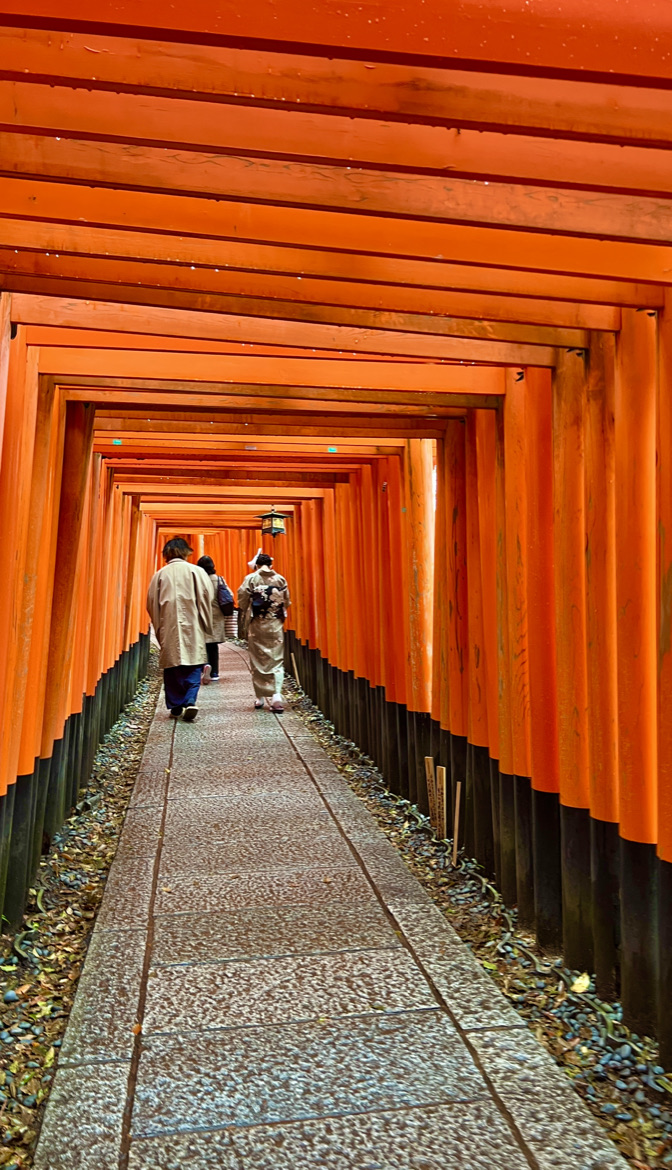 Mil Puertas Torii