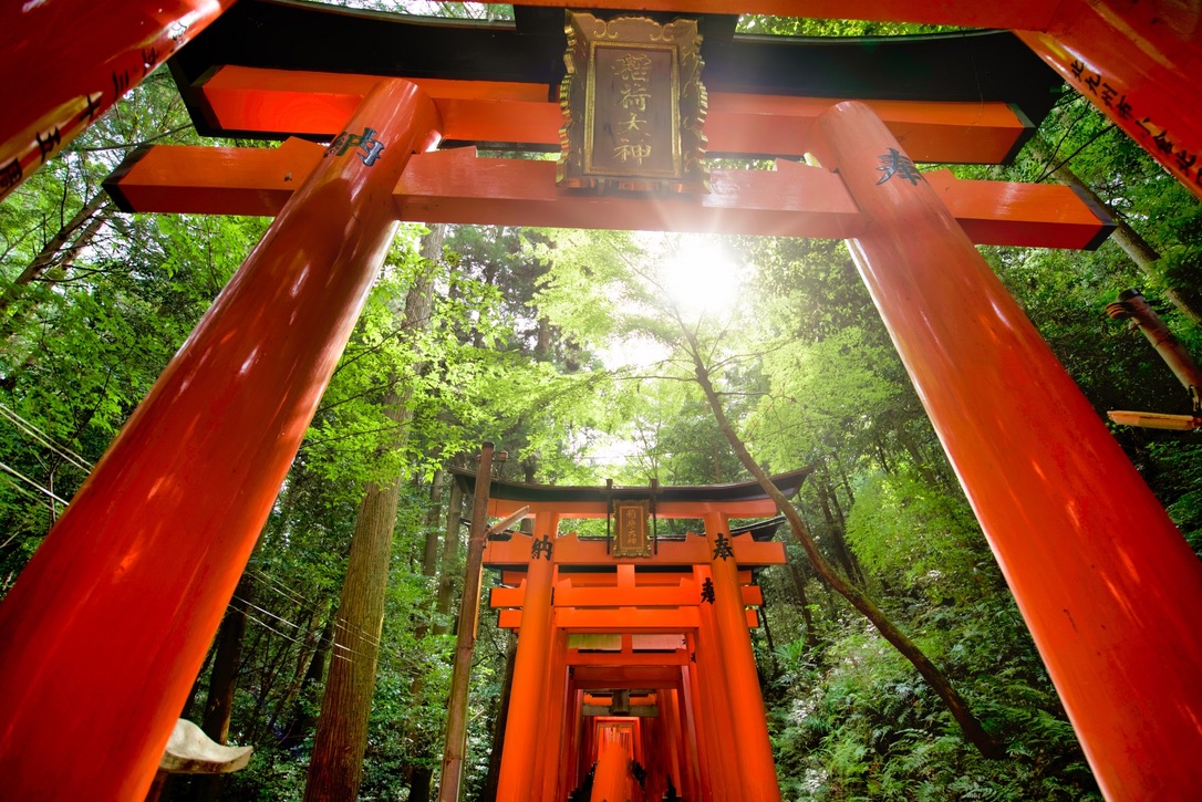 Mil Puertas Torii en la montaña