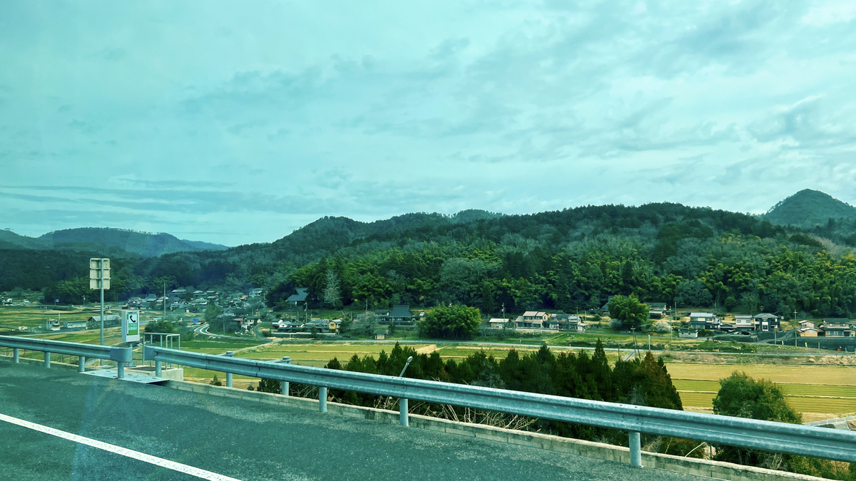 View from the bus