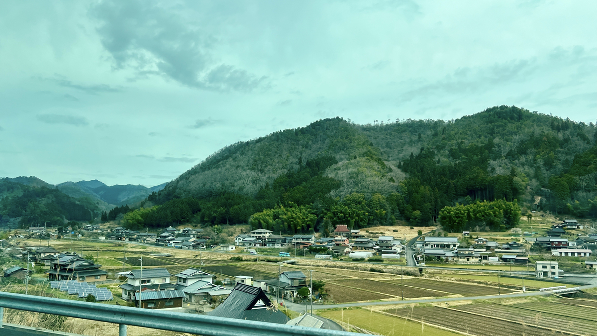 View from the bus