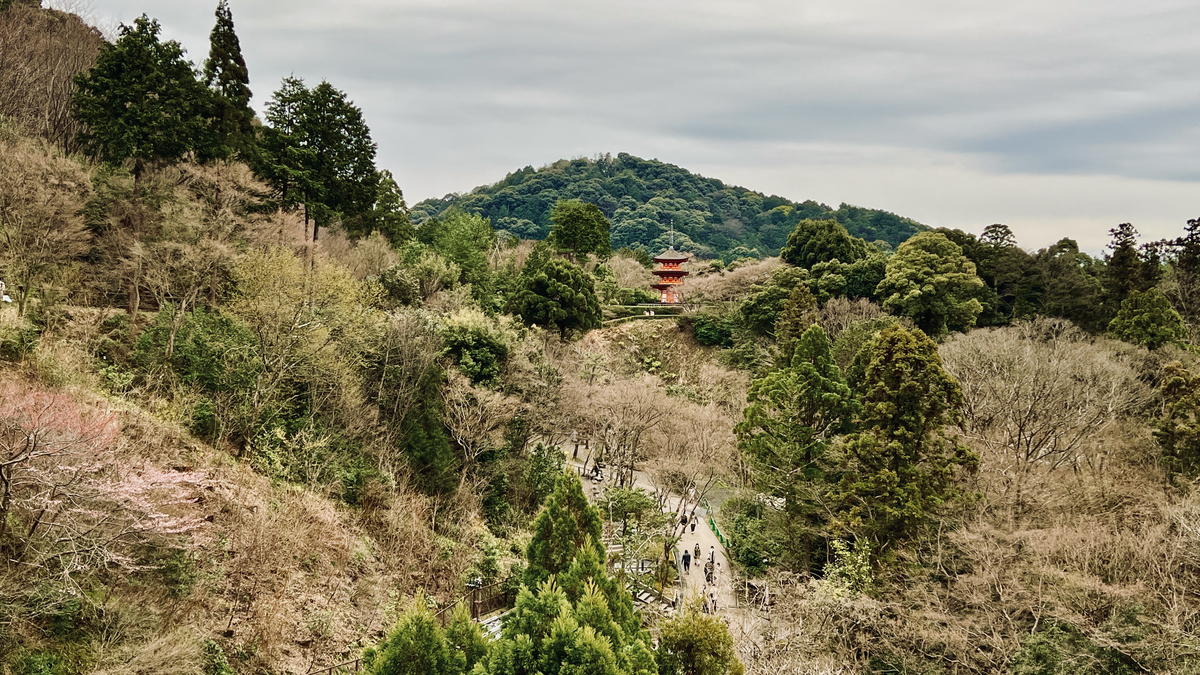 View from Kiyomizu Stage