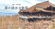 京都の世界遺産、春の清水寺を散策しよう。開運、恋愛成就、力試しなど、清水の舞台以外にも楽しいコンテンツがたくさん