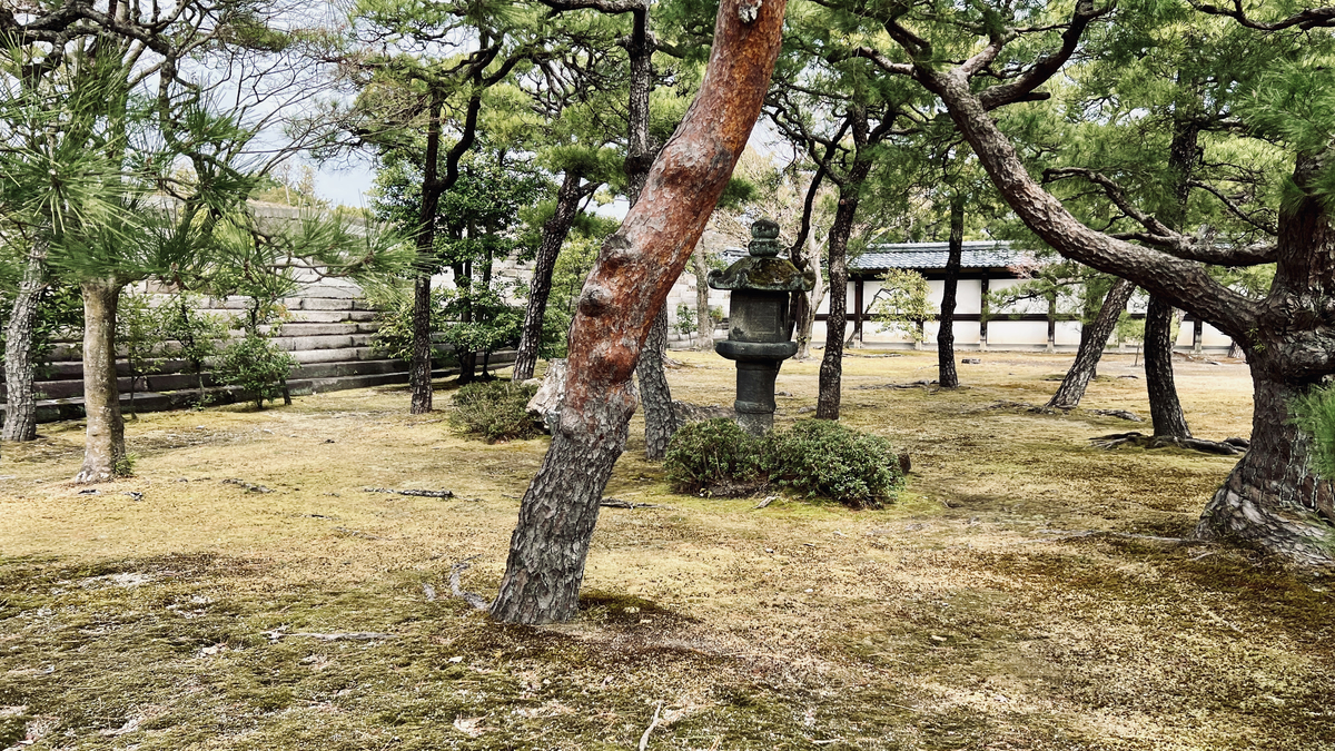 Japanese Garden