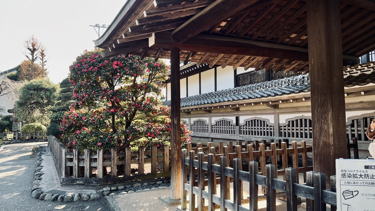 玄関2