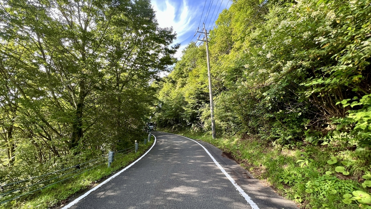 地芳峠の峠道