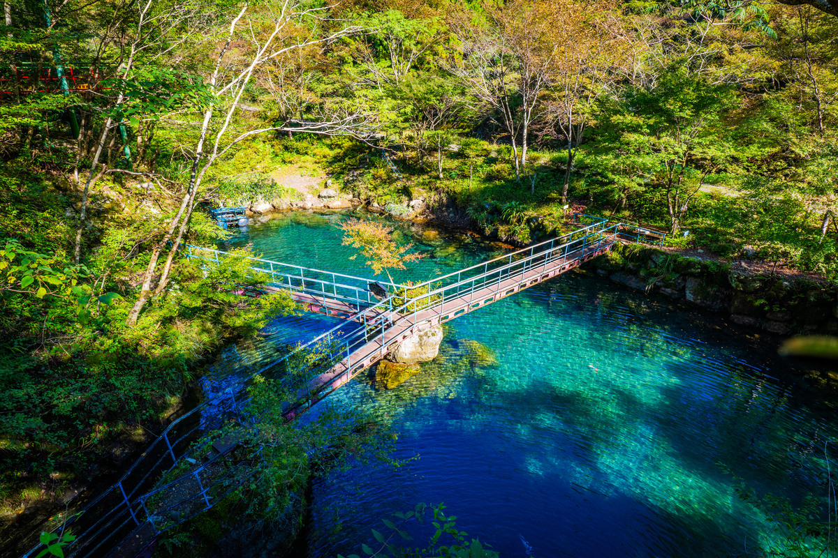 白龍湖の全体像。湖にかかる吊り橋と、周囲を覆う木々。