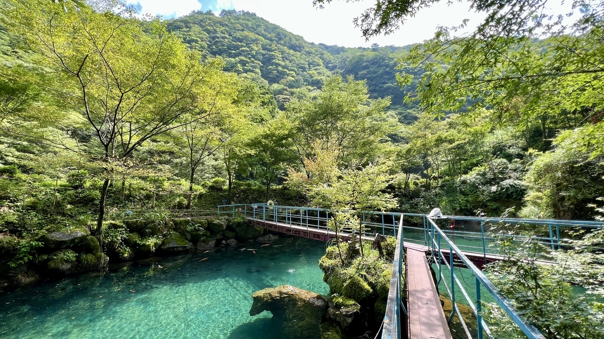 緑豊かな木々に囲まれた白龍湖の静かな景観。自然の中に浮かぶ吊り橋