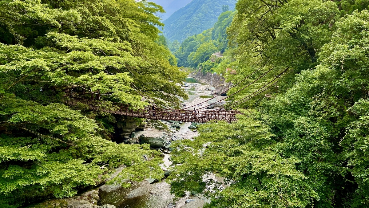 조곡계곡대교에서 발아래로 내려다본 덩굴다리와 조곡강. 짙은 녹색과 계곡미의 대비가 돋보이는 절경.