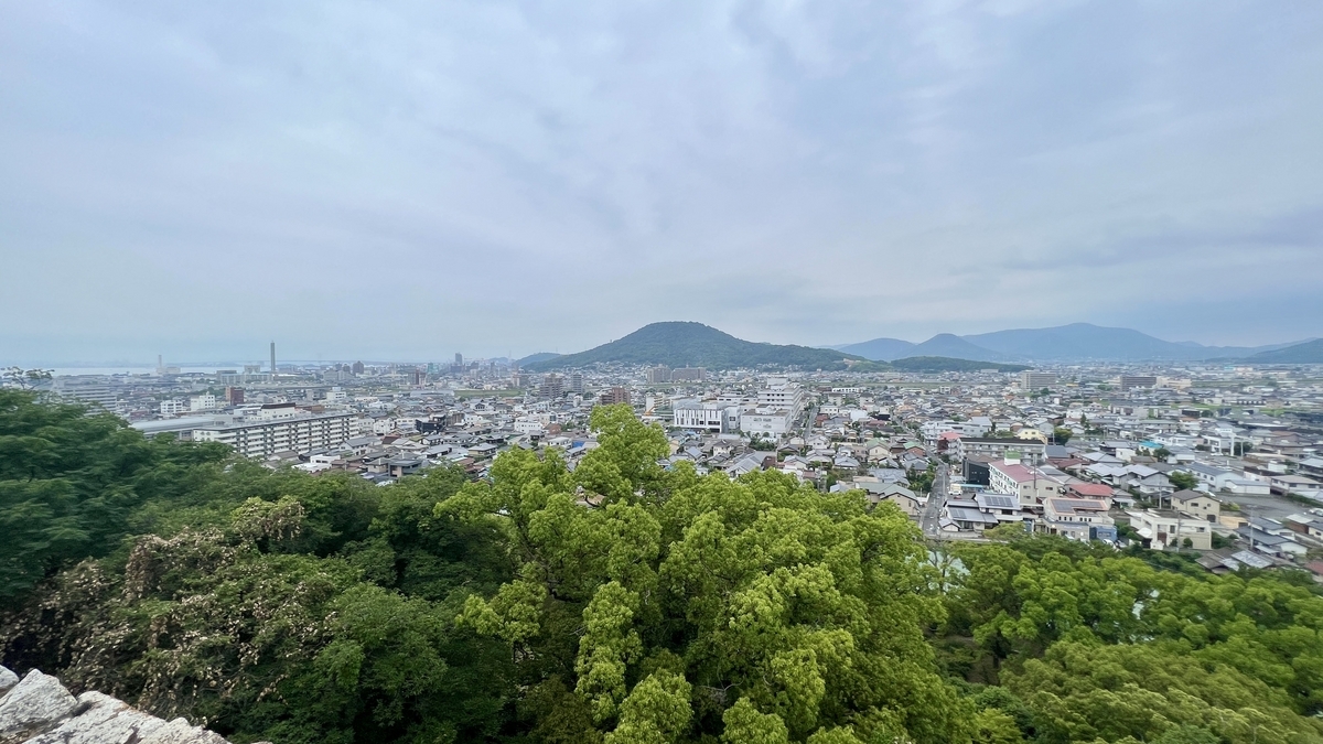 木々の先に広がる飯野山と街並み。月見にふさわしい穏やかな風景