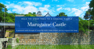 Marugame Castle Travel Experience: Japan’s Tallest Stone Walls and an Original Edo-Era Keep