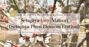 Festival de Ume de Setagaya en Tokio: flores de ciruelo y calidez local en el parque Hanegi
