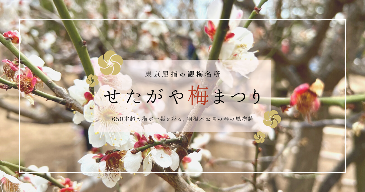 せたがや梅まつりを歩く｜650本の梅とやさしさに包まれる羽根木公園の春
