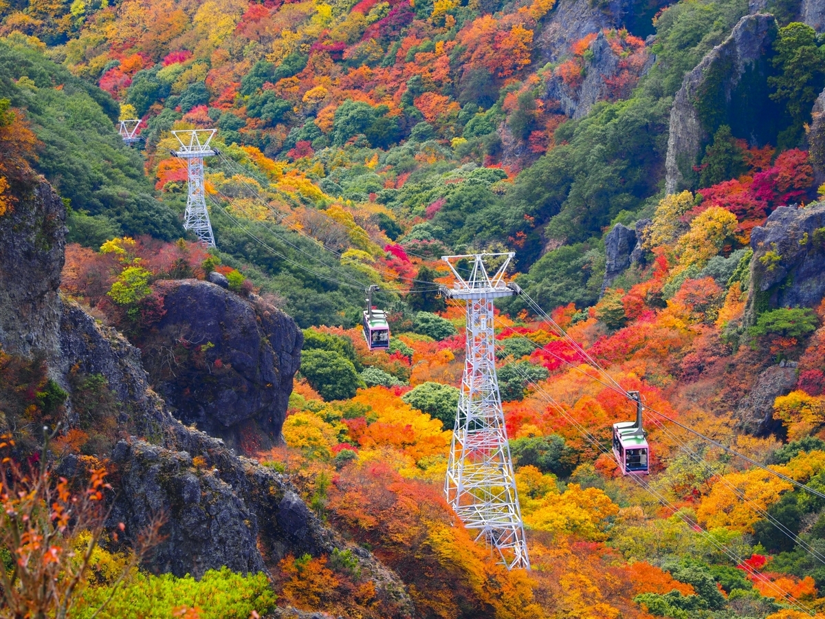Kankakei Ropeway traveling through vibrant red autumn foliage