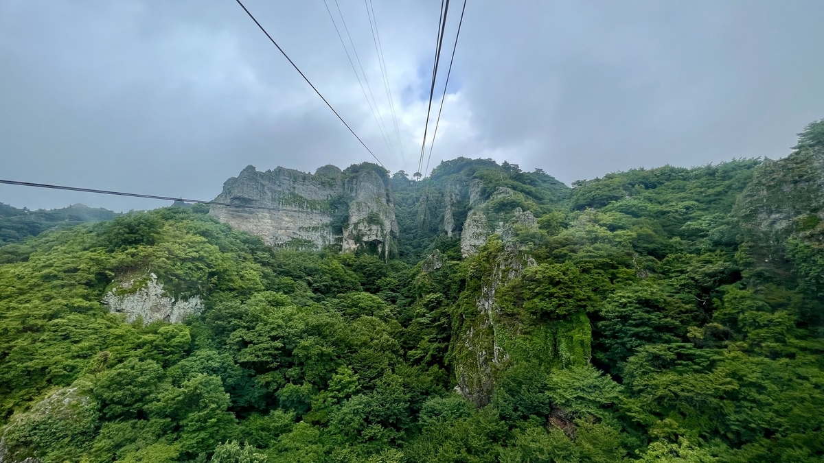 从缆车望向山顶附近的岩壁和绿意森林