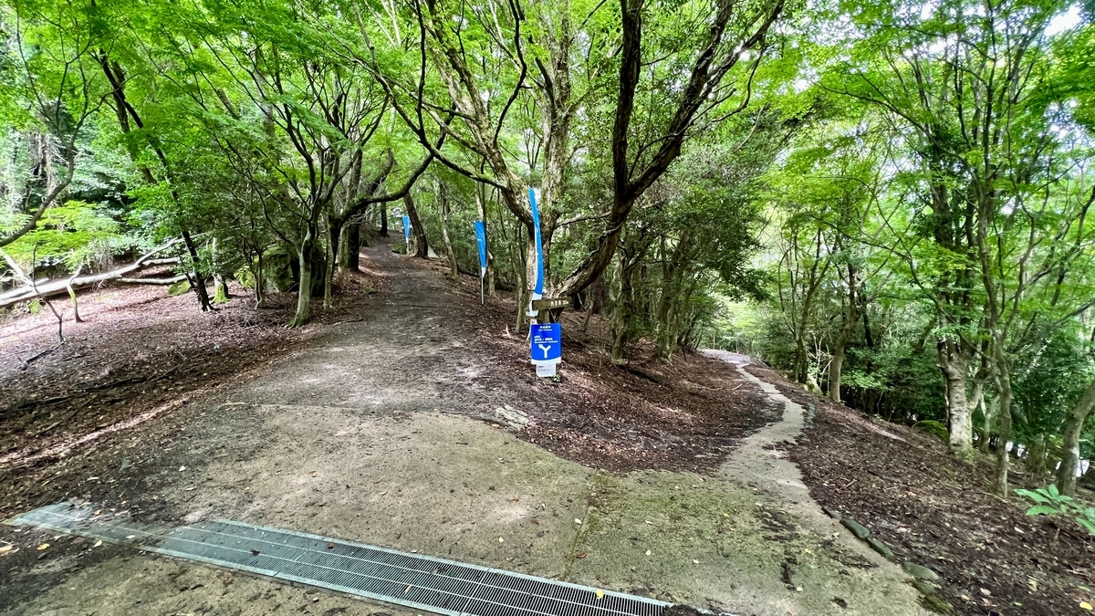 分岔点立着的鹰取观景台方向指南板和蓝旗