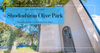 Visiting Shodoshima Olive Park: Flying Broomsticks and Mediterranean Charm