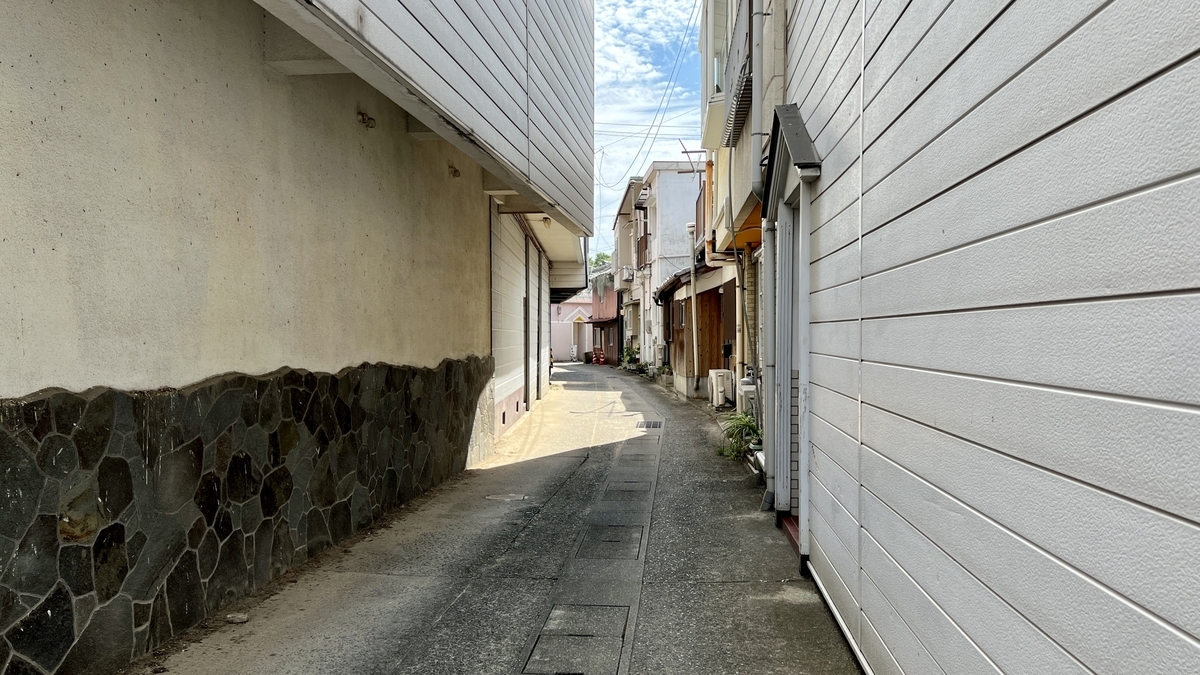 Narrow alleys winding through a residential area.