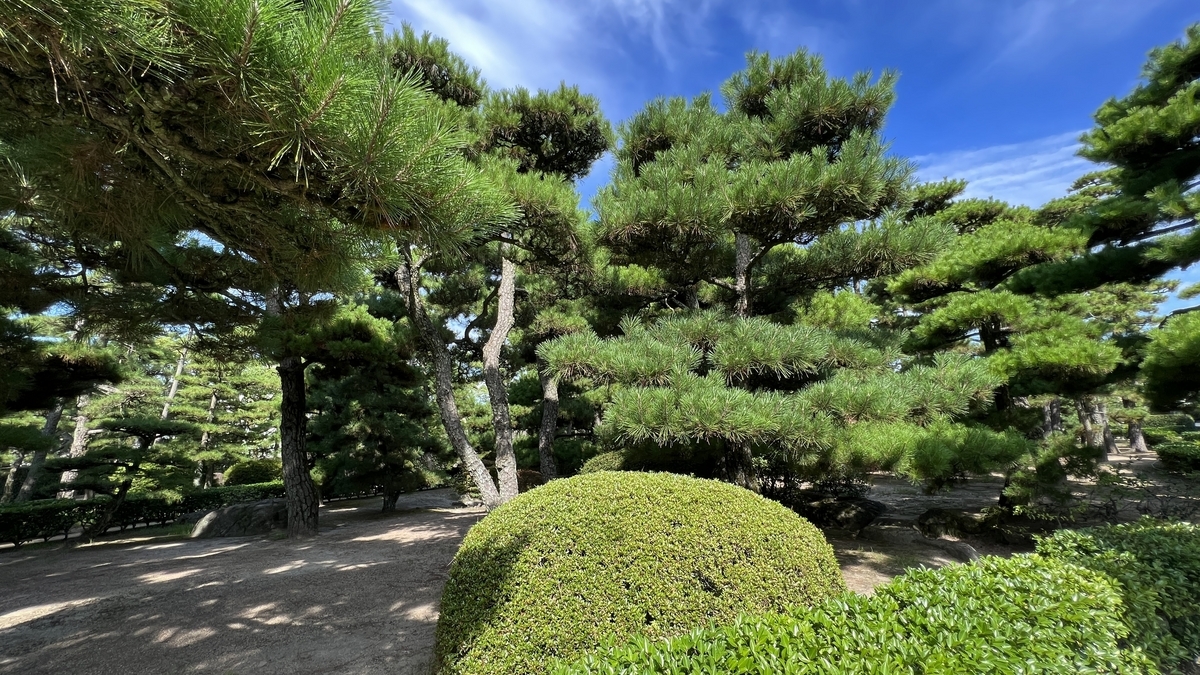 ทิวทัศน์เงียบสงบของสวนฮิอุนคะคุที่ล้อมรอบด้วยรูปแบบกิ่งก้านของต้นสนดำและรั้วต้นไผ่