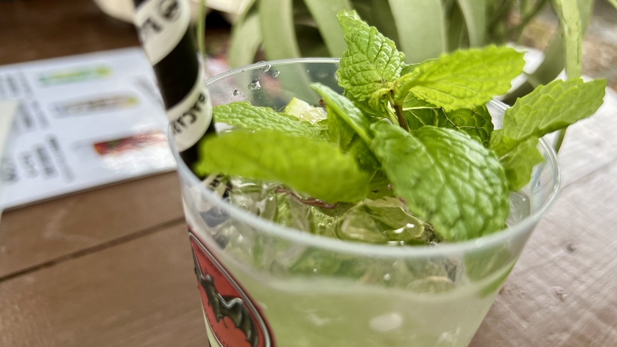 Bacardi Mojito