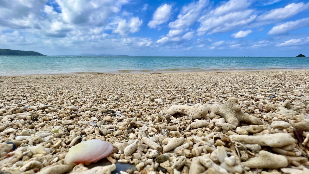 貝殼散落的沙灘上空展現藍天和大海的鏡地海灘景色