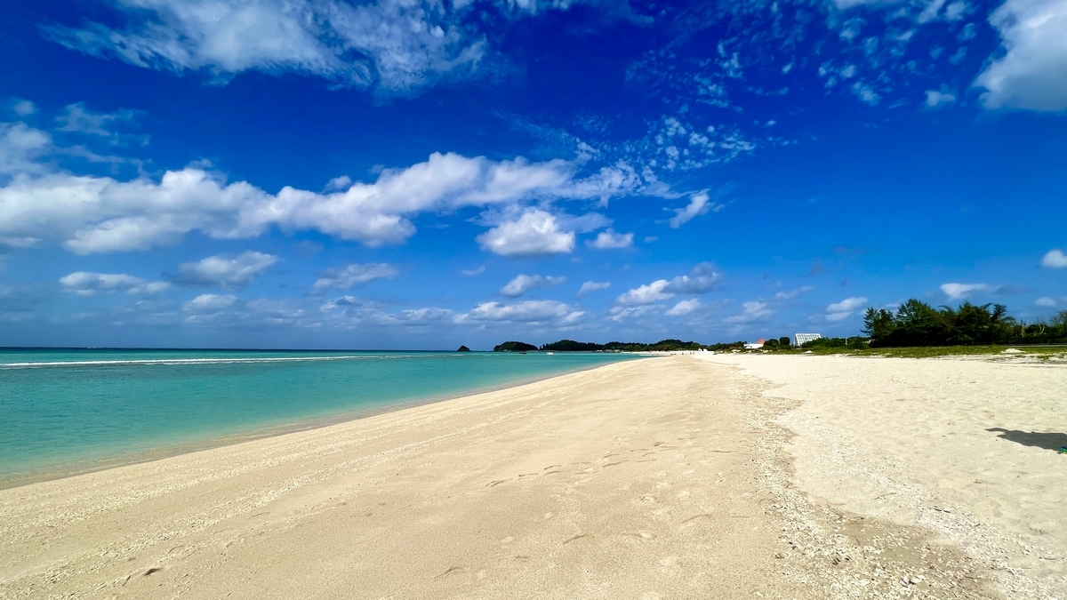 遠眺綠色樹木的廣闊鏡地海灘沙灘和大海