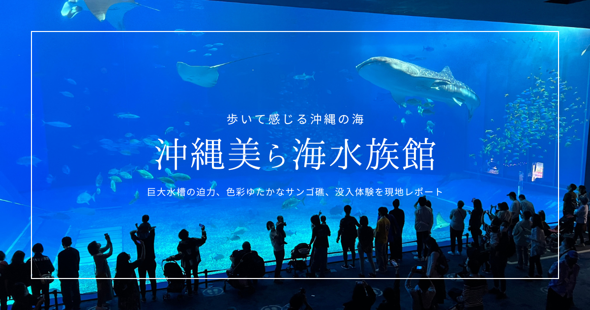 沖縄美ら海水族館を歩く｜巨大水槽や色彩豊かなサンゴ礁エリアなど人気の理由を現地レポート