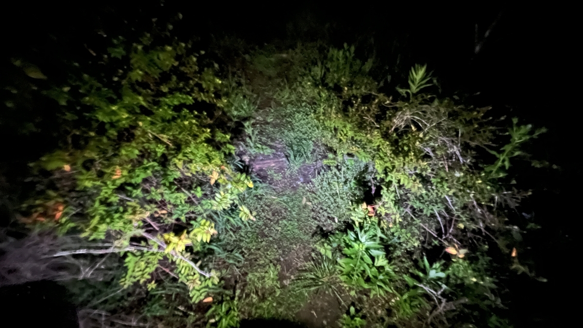 夜のキャンプ場。範囲は広く無いが、足元はしっかり照らしてくれる