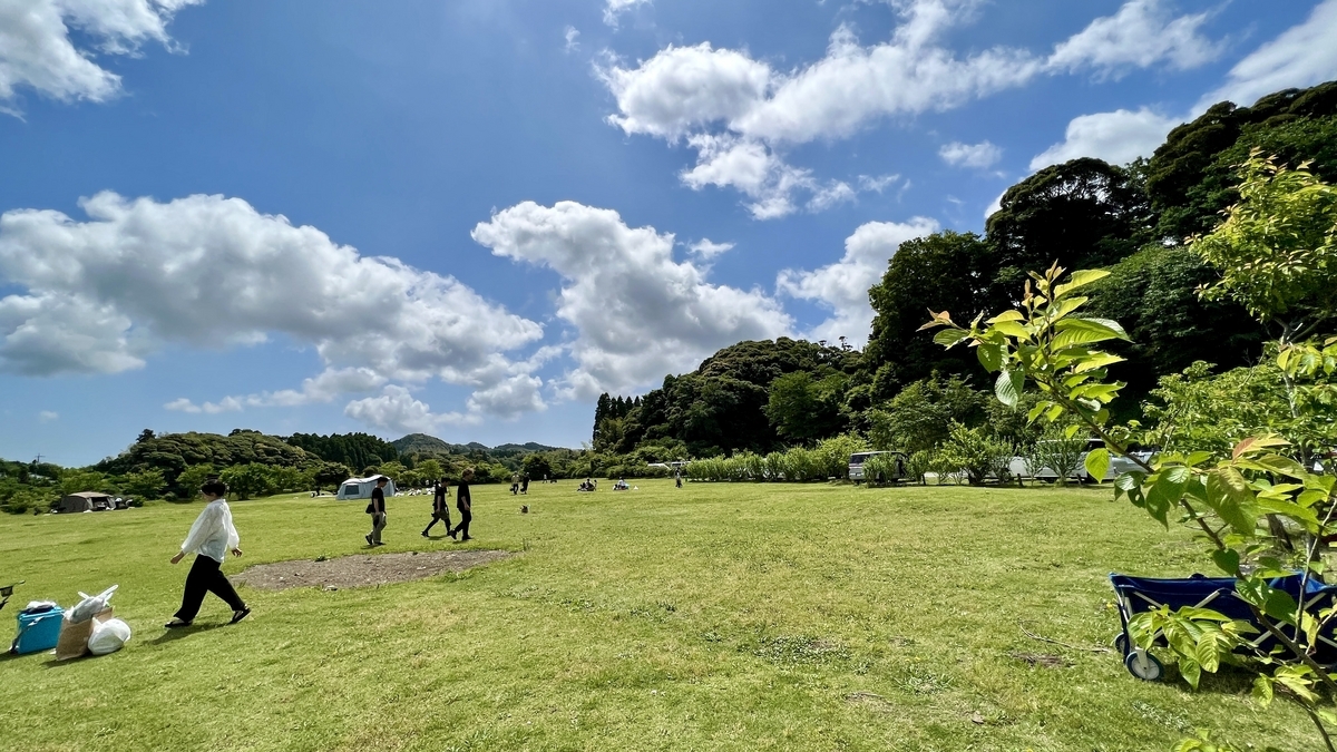 広々とした芝生サイトにテントが点在するMUSIC AREAの全景