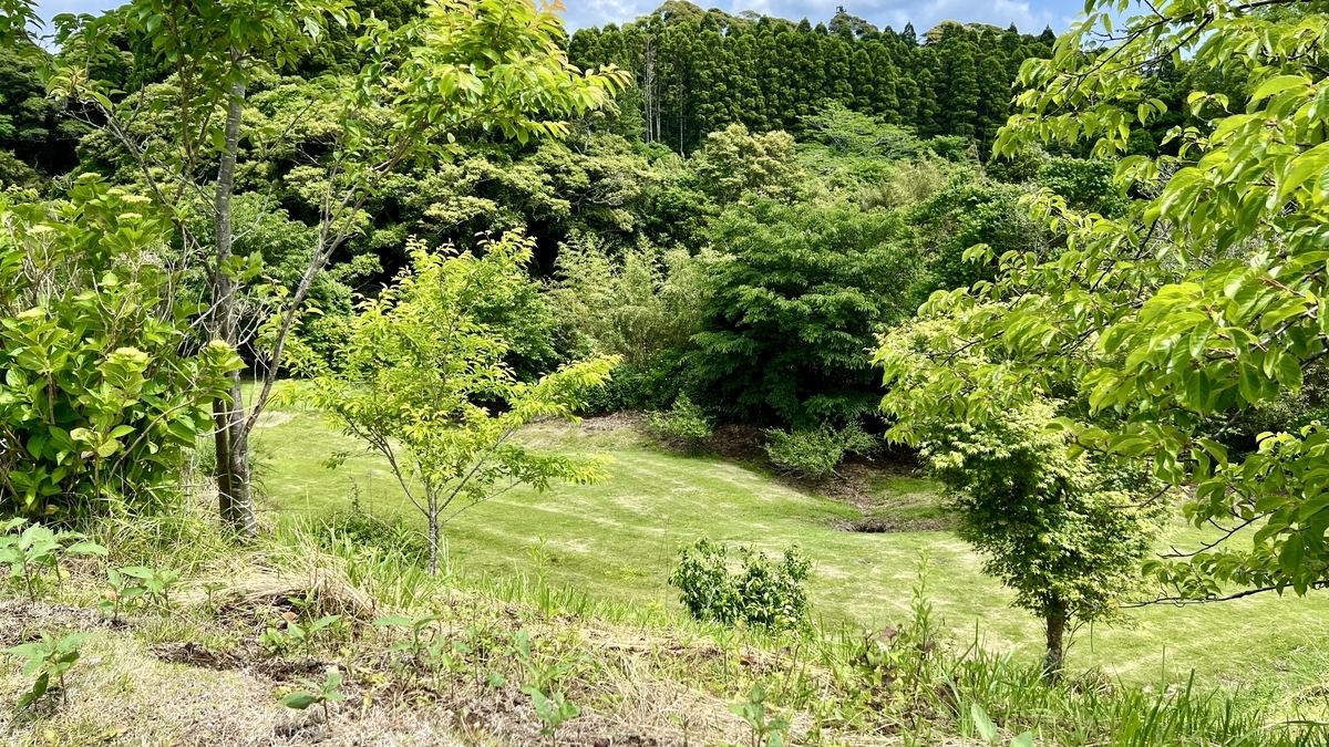 MUSIC AREAから見下ろすファミリーエリアの緑あふれる景観