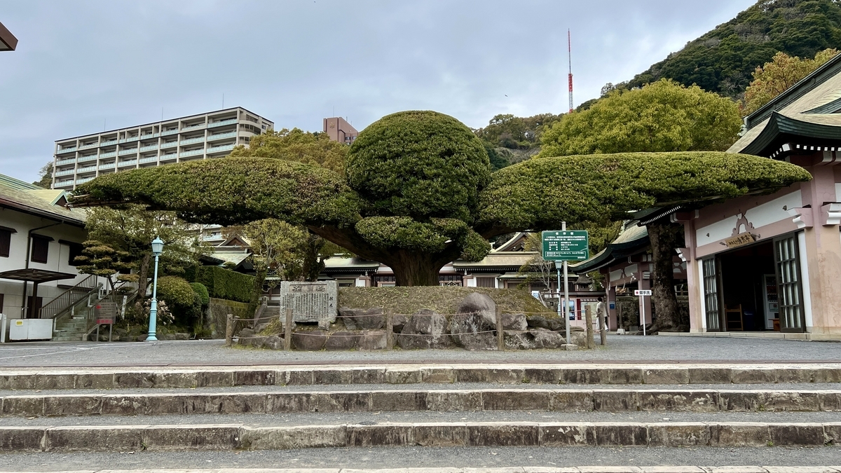 ต้นไม้รูปนกไซคะคุในศาลเจ้าเทรุกุนิจินจะ