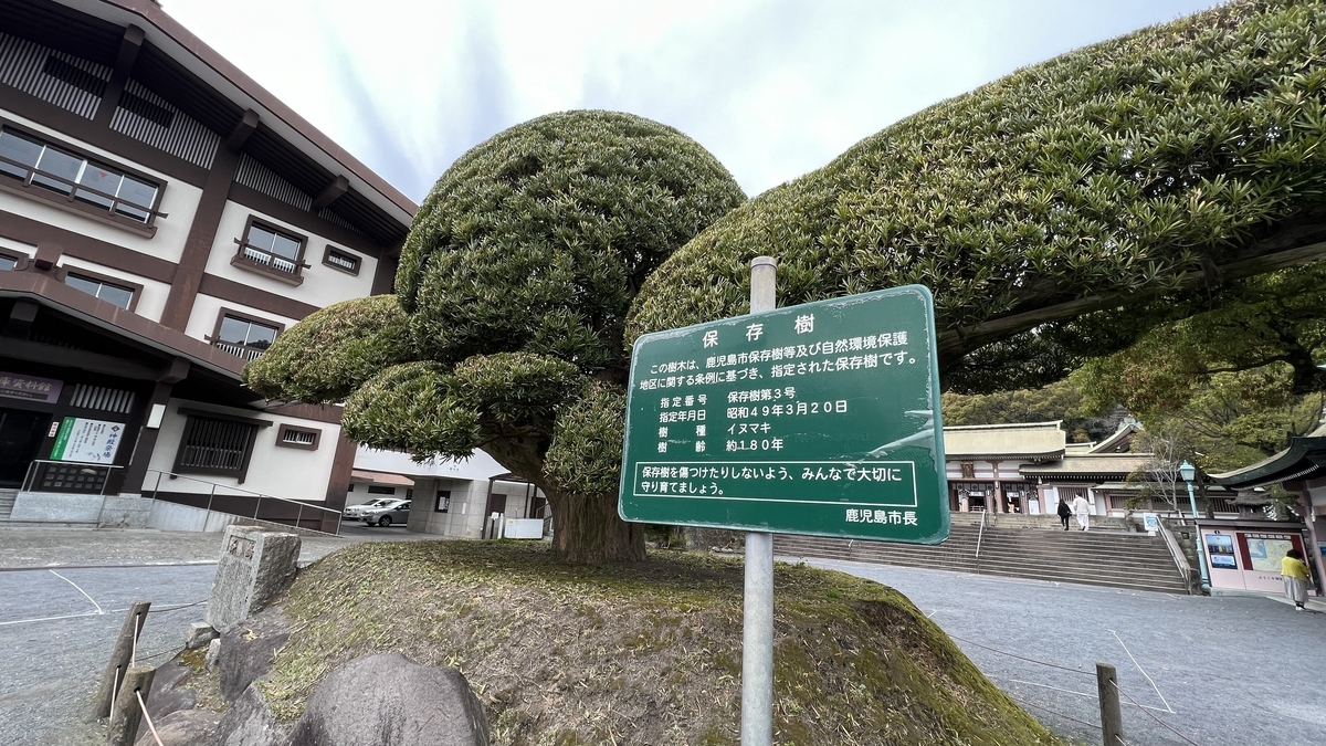 ต้นไม้ไซคะคุและป้ายอธิบายภายในศาลเจ้าเทรุกุนิจินจะ