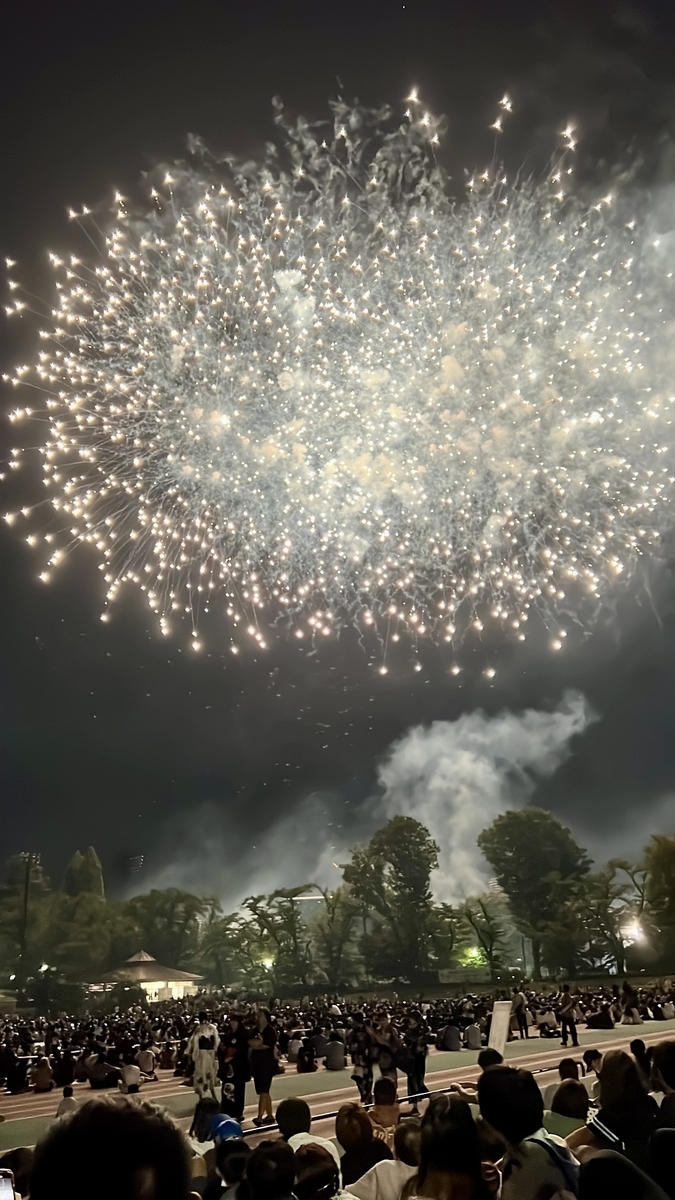夜空いっぱいに広がる花火と見上げる観客たち